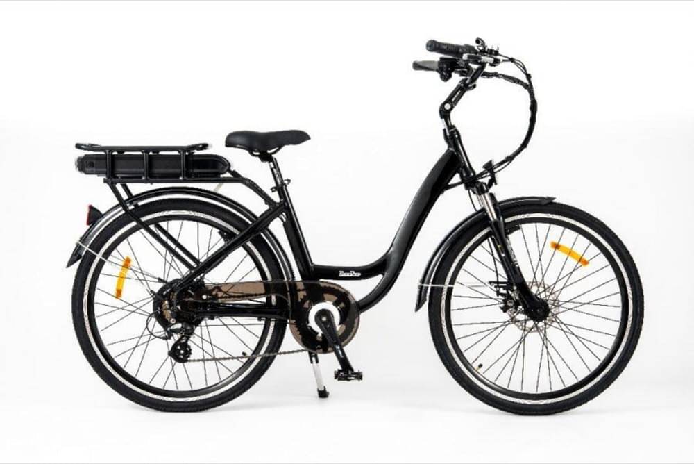 Image of ROODOG Chic Step Through Electric Bike, 10Ah - Gloss