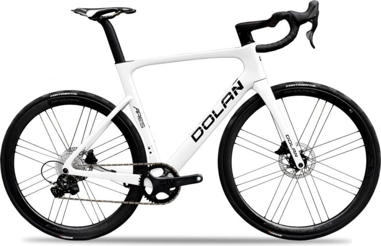Dolan Ares Carbon Disc Road Bike - Campag Ekar 1x13