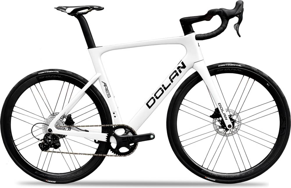 Image of Dolan Ares Carbon Disc Road Bike - Campag Ekar 1x13